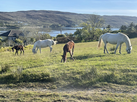 Buttermilk Lodge Guest Accommodation - Guesthouse & Self Catering