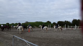 Galway Equestrian Centre