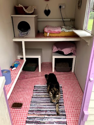 Kamasaki Boarding Cattery