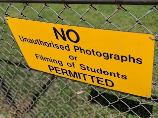 Tamborine Mountain State School