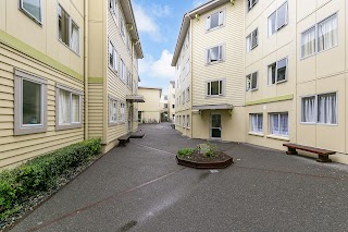 Basin Reserve Apartment