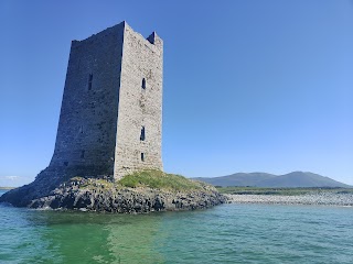 Fenit Sea Safari