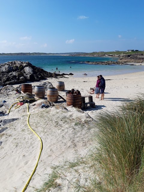 Connemara College of Natural Healing