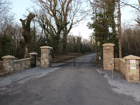 Drumhierney Woodland Hideaway Visitor's Parking