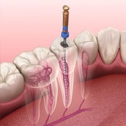 Borstal Gate Dental Surgery