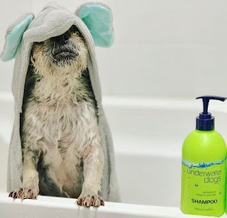 Underwater Dogs Haircare