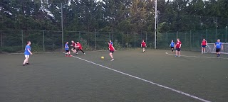 Douglas Community School Astro Pitches