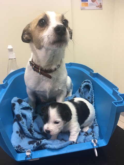 Slaney Veterinary Centre