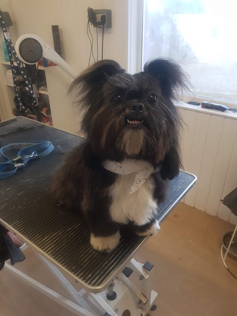 Pawfect Pooch Dog Grooming Parlour