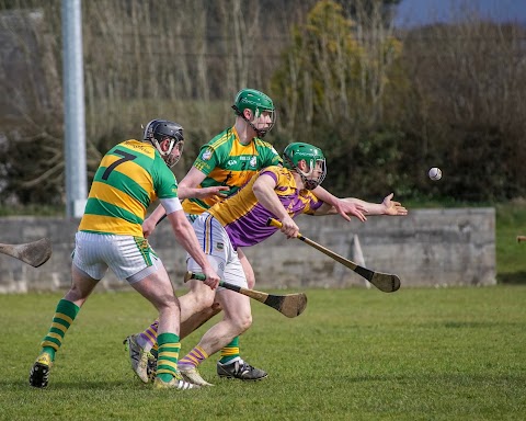 Newport GAA Club