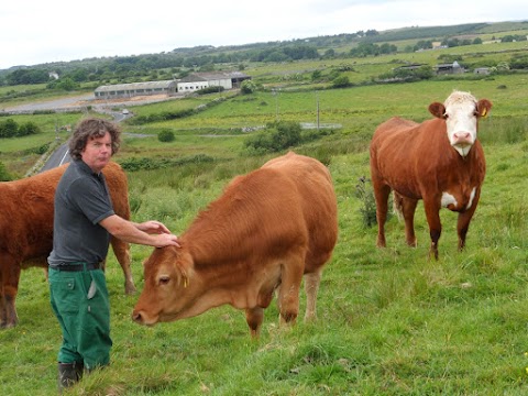 Burren Glamping