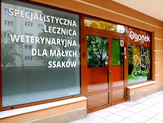 OGONEK Specjalistyczna Przychodnia Weterynaryjna dla Małych Ssaków