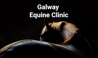 Galway Equine Clinic