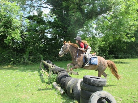 Lough Derg Equestrian Centre. EST 1992. AIRE Approved