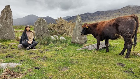 Ardgroom Stone Circle