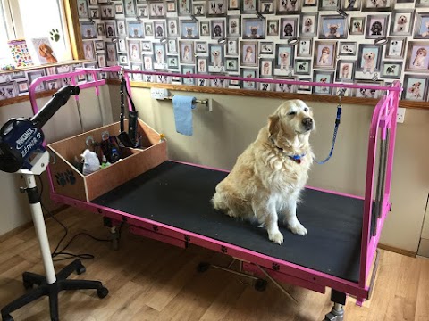 Furever Friends Professional Dog Grooming