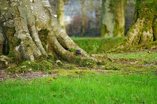 St. Joseph's Park