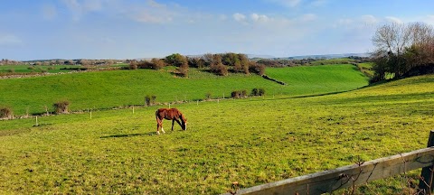 Westport Glamping At Doon Angus Farm