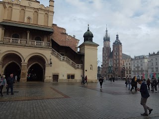 Cracow Local Sp. z o.o.