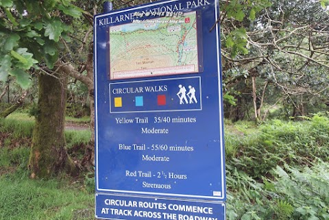 Killarney National Park Car Park