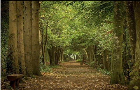 Kilkenny Glamping at Jenkinstown House