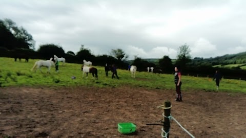 Ballyhoura Horsetrails