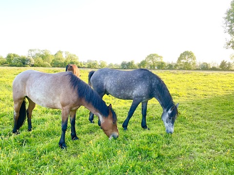 Pony Tales Stables