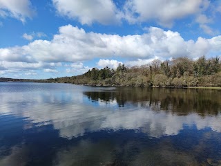 Dromore Woods Trailhead