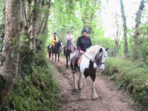 Tipperary Mountain Trekking Centre