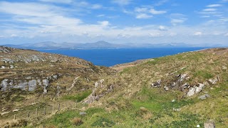 Bernie's Cupan Tae Sheep's Head