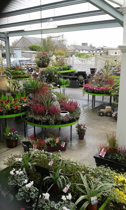 Listowel Garden Centre and Thyme Out Cafe