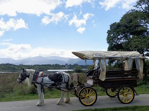 Killarney Carriage Rides