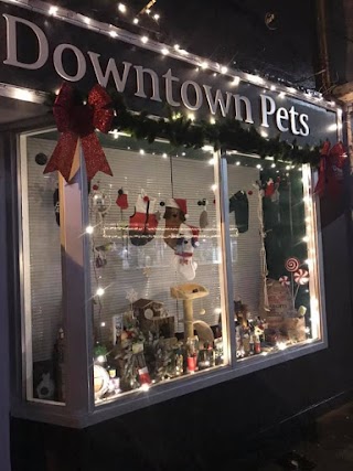 Downtown Pets