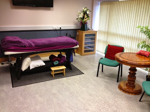 Ashdale Acupuncture Clinic