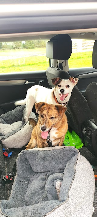 Happy Tails Boarding Kennels