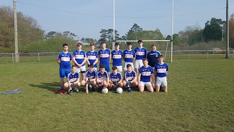 Carrigaline GAA Club