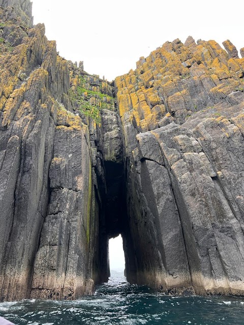 Dingle Sea Safari