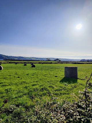 South and East Cork Bird Trail