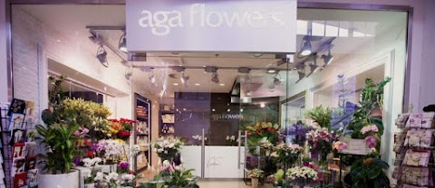 Aga Flowers Kwiaciarnia Dom Mody Klif