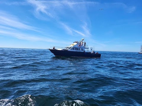 Beara Boat Tours