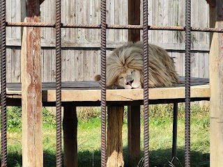 Zoo Wojciechów