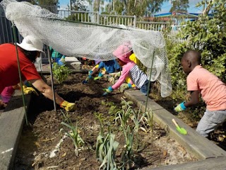 C&K Kruger Community Kindergarten