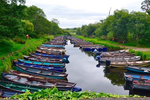 Killarney Guided Tours