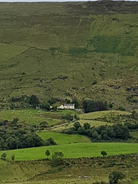 The Weavers Shop