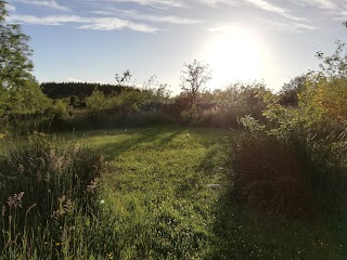 Celtic Druid Temple