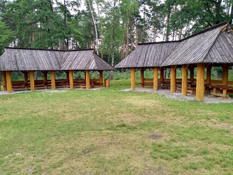 Punkt Edukacyjny Nadleśnictwa Niepołomice w leśnictwie Sitowiec