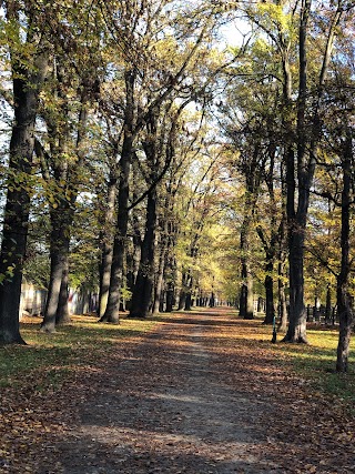 Park Dąbski we Wrocławiu