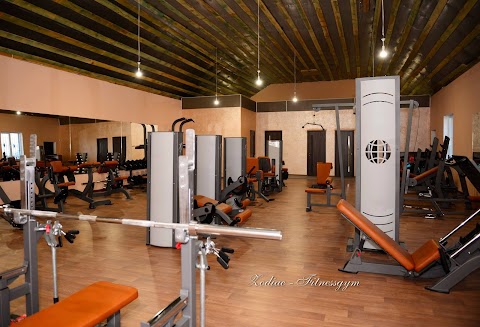 Тренажерный зал Zodiac-FitnessGym