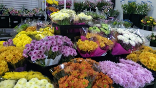 Toowoomba Flower Market