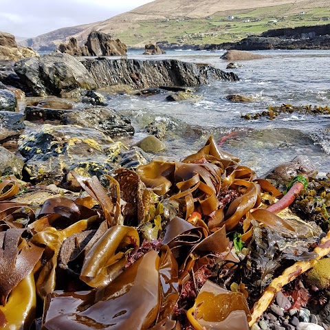 Garinish Beach